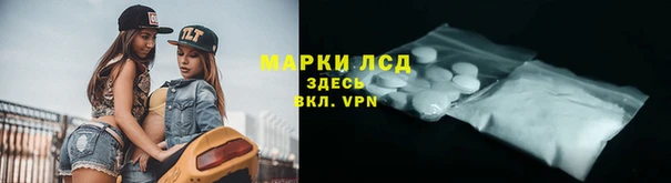 крисы Алексин