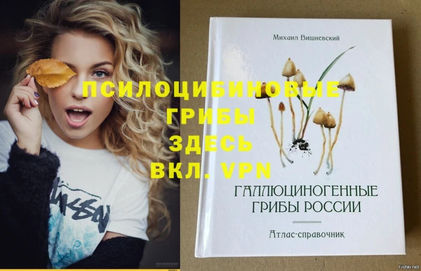 экстази Абаза